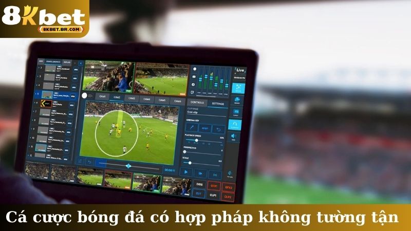 Cá cược bóng đá có hợp pháp không