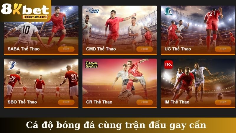 Cá độ bóng đá cùng trận đấu gay cấn