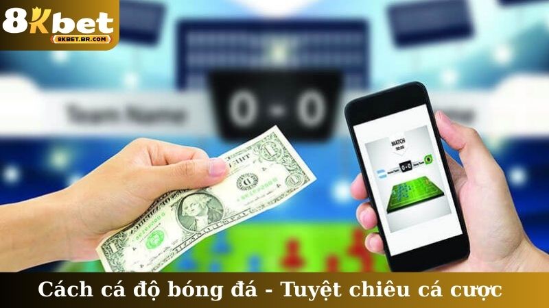 Cách cá độ bóng đá