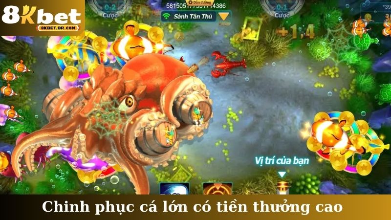 Chinh phục cá lớn có tiền thưởng cao