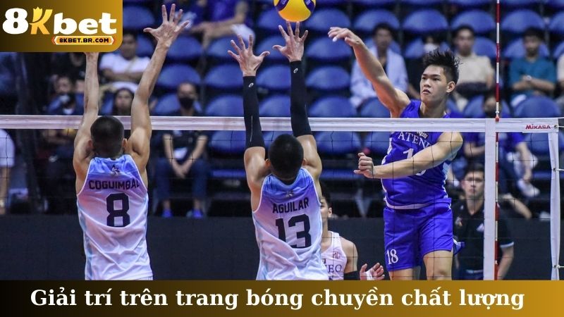 Giải trí trên trang bóng chuyền chất lượng