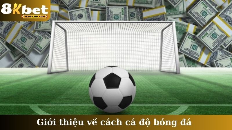 Giới thiệu về cách cá độ bóng đá