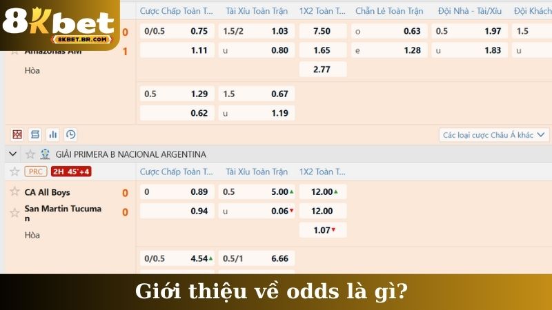 Giới thiệu về odds là gì?