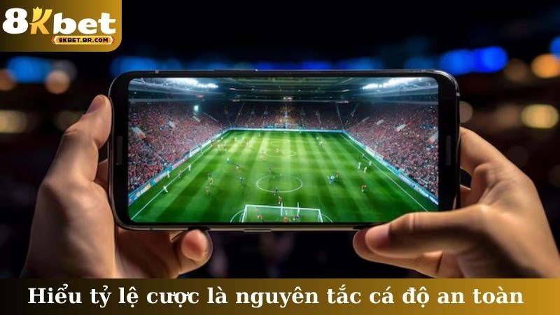 Hiểu tỷ lệ cược là nguyên tắc cá độ an toàn