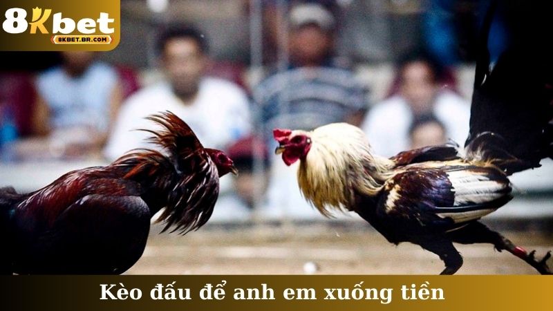 Kèo đấu để anh em xuống tiền