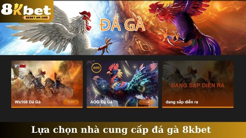 Lựa chọn nhà cung cấp đá gà 8kbet