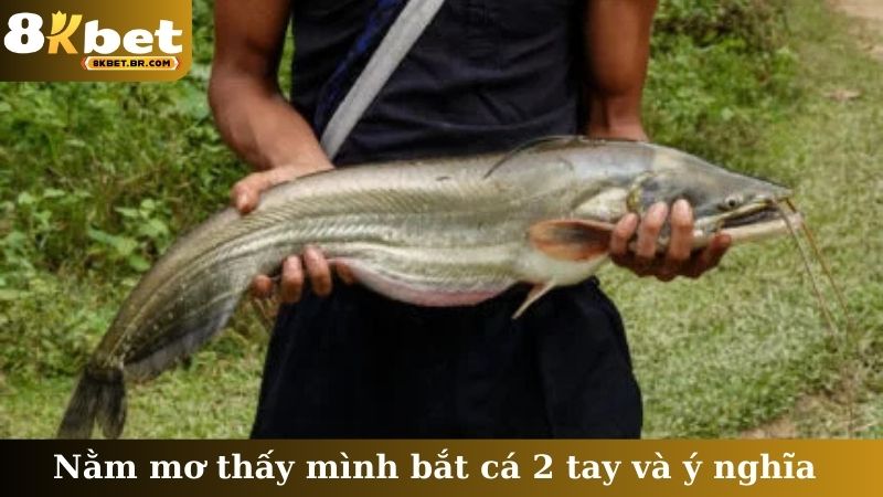 Nằm mơ thấy mình bắt cá 2 tay