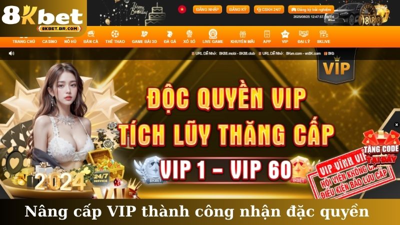 Nâng cấp VIP thành công nhận đặc quyền