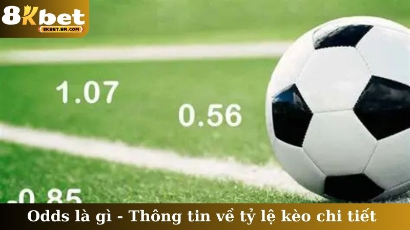 Odds là gì