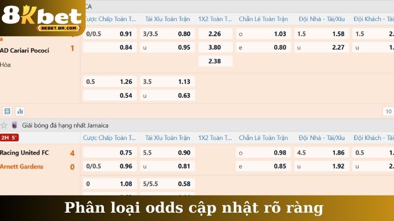 Phân loại odds cập nhật rõ ràng