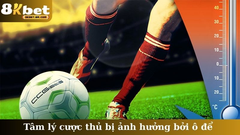 Tâm lý cược thủ bị ảnh hưởng bởi ô để