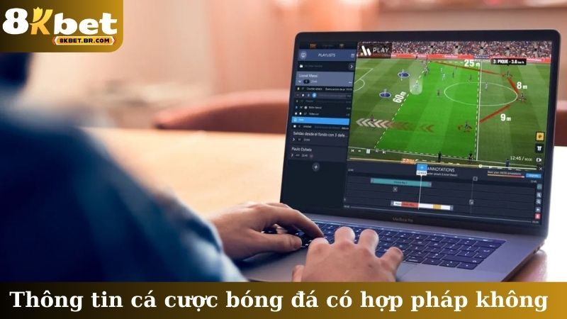 Thông tin cá cược bóng đá có hợp pháp không