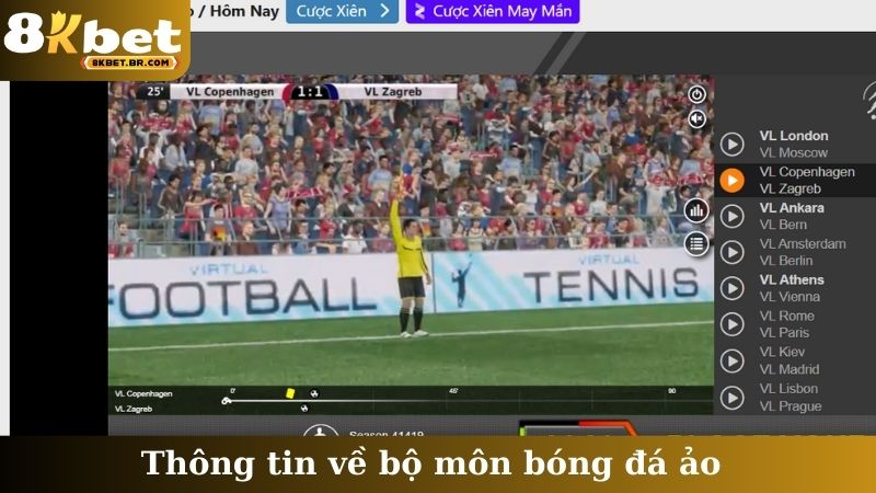Thông tin về bộ môn bóng đá ảo
