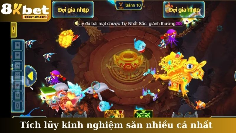 Tích lũy kinh nghiệm săn nhiều cá nhất