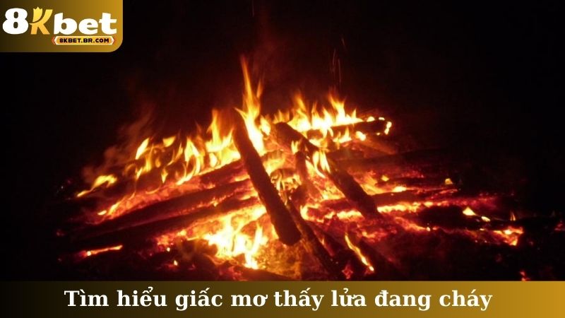 Tìm hiểu giấc mơ thấy lửa đang cháy