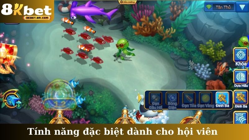 Tính năng đặc biệt dành cho hội viên