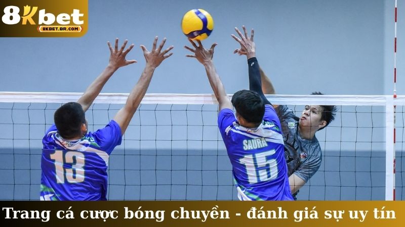 Trang cá cược bóng chuyền
