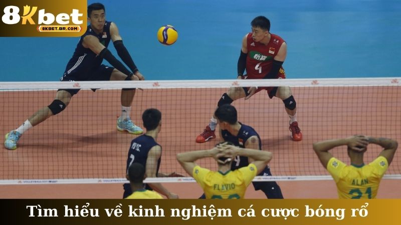 Trang cá cược bóng chuyền hợp pháp